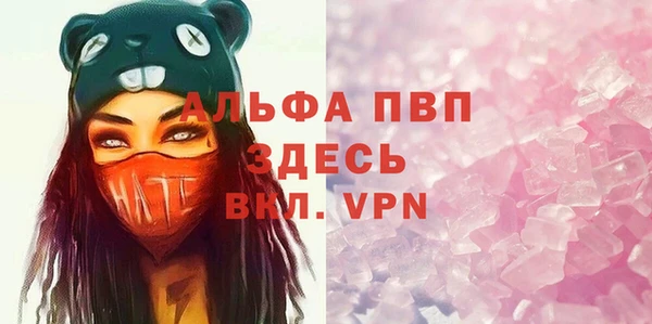 ECSTASY Алзамай