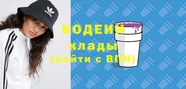 ECSTASY Алзамай