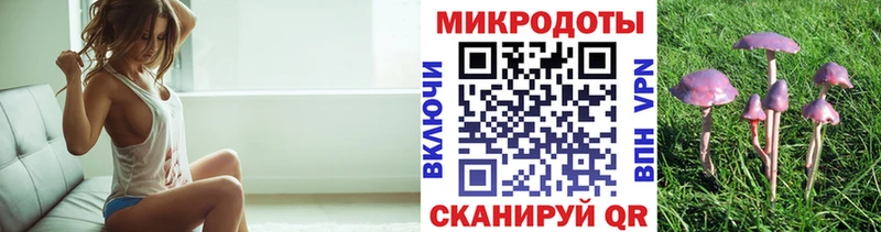 Галлюциногенные грибы прущие грибы  Советская Гавань 